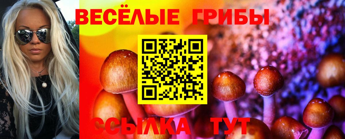Гурьевск  Галлюциногенные грибы MAGIC MUSHROOMS  Вход с VPN 